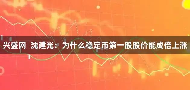 兴盛网  沈建光：为什么稳定币第一股股价能成倍上涨