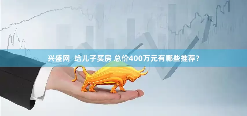 兴盛网  给儿子买房 总价400万元有哪些推荐？