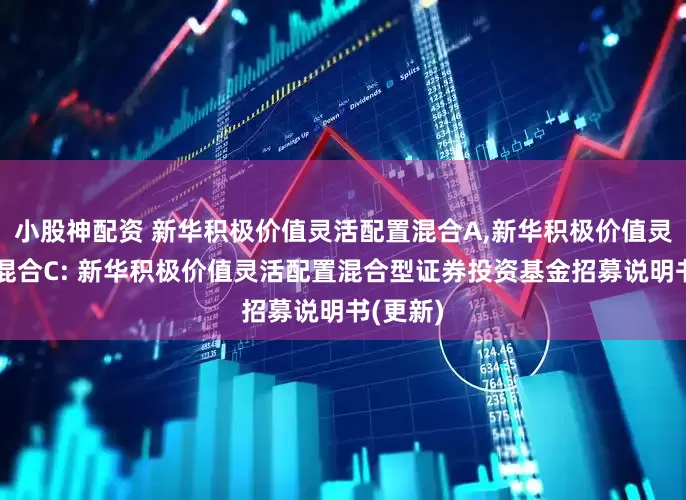 小股神配资 新华积极价值灵活配置混合A,新华积极价值灵活配置混合C: 新华积极价值灵活配置混合型证券投资基金招募说明书(更新)