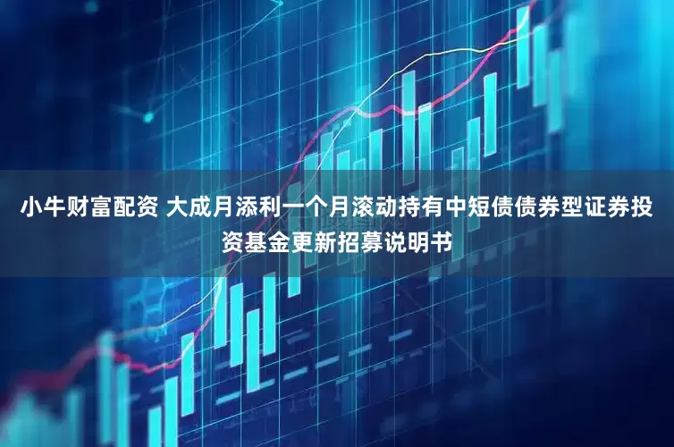 小牛财富配资 大成月添利一个月滚动持有中短债债券型证券投资基金更新招募说明书