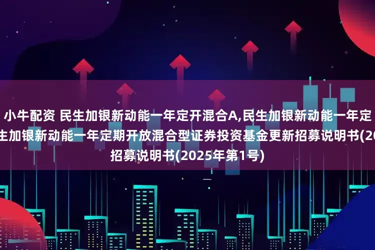 小牛配资 民生加银新动能一年定开混合A,民生加银新动能一年定开混合C: 民生加银新动能一年定期开放混合型证券投资基金更新招募说明书(2025年第1号)