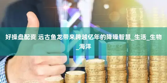 好操盘配资 远古鱼龙带来跨越亿年的降噪智慧_生活_生物_海洋