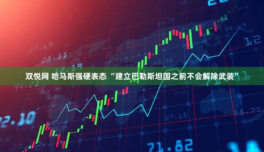 双悦网 哈马斯强硬表态 “建立巴勒斯坦国之前不会解除武装”