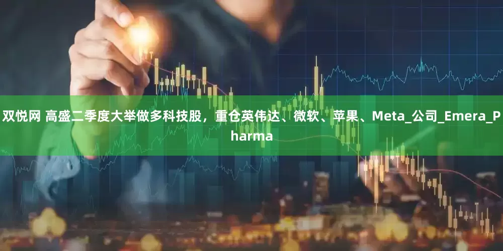 双悦网 高盛二季度大举做多科技股，重仓英伟达、微软、苹果、Meta_公司_Emera_Pharma