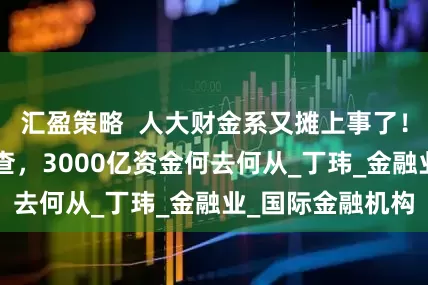 汇盈策略  人大财金系又摊上事了！2名校友先后被查，3000亿资金何去何从_丁玮_金融业_国际金融机构
