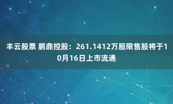 丰云股票 鹏鼎控股：261.1412万股限售股将于10月16日上市流通