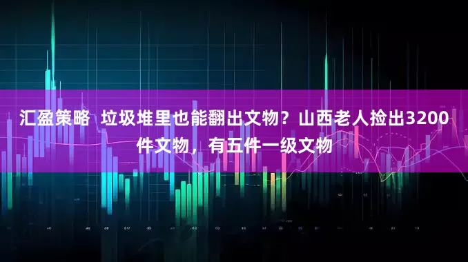 汇盈策略  垃圾堆里也能翻出文物？山西老人捡出3200件文物，有五件一级文物